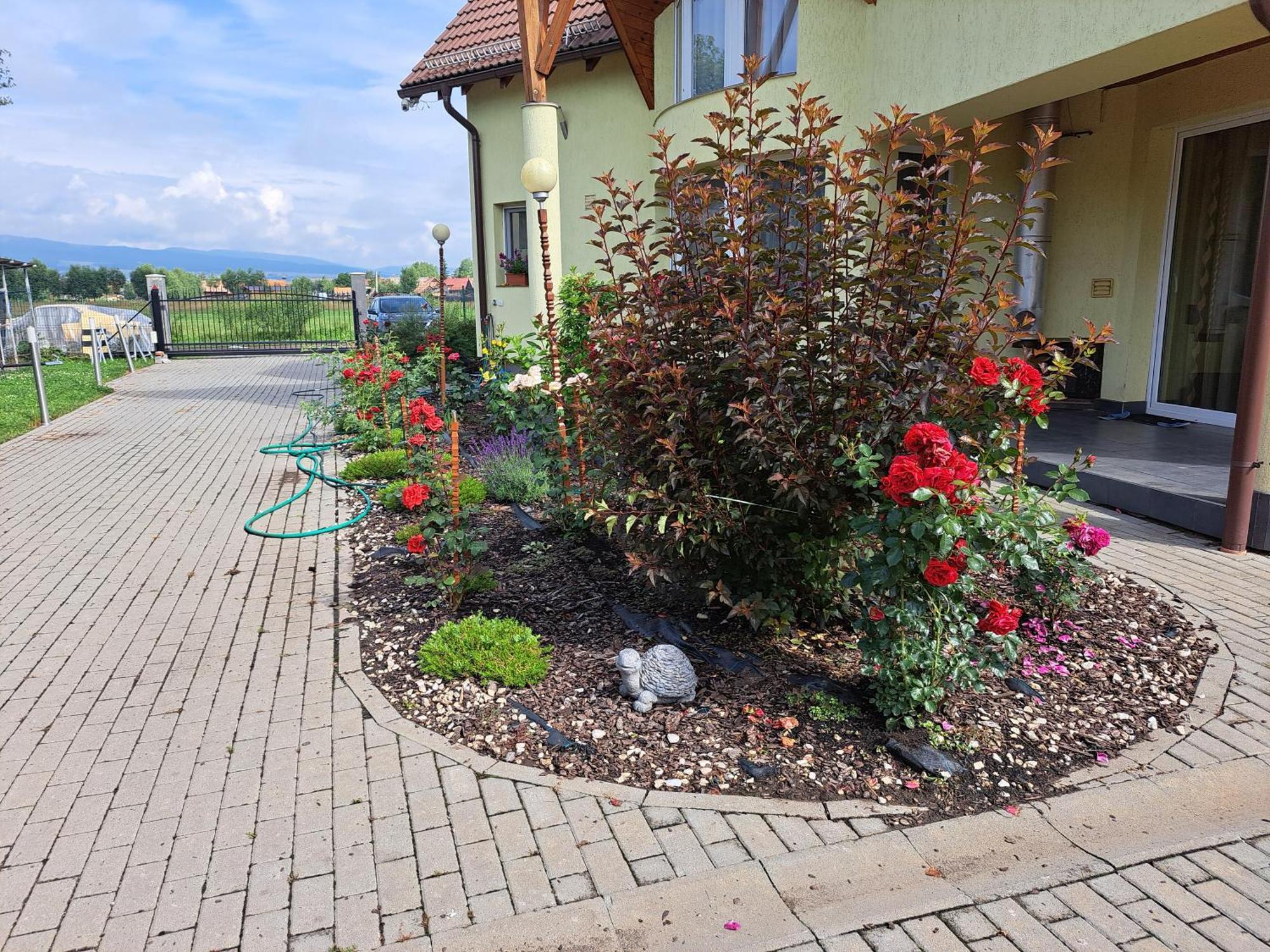Csikcsicso, 699 Sillok Utca Apartment *